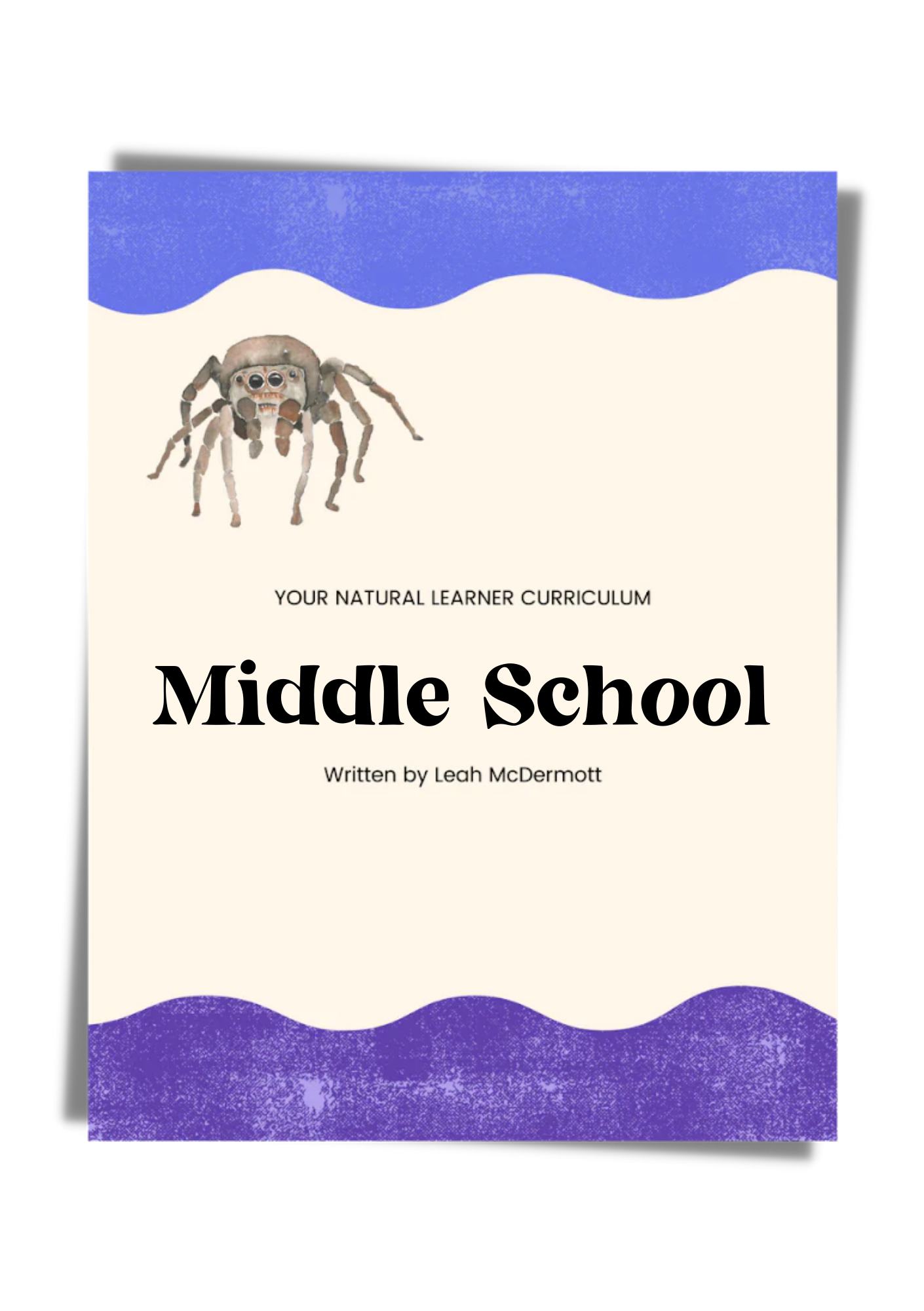 Middle School Curriculum