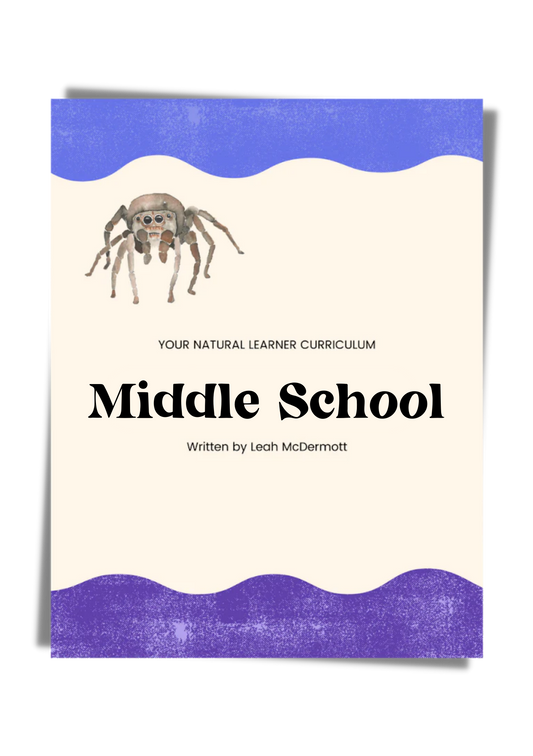 Middle School Curriculum