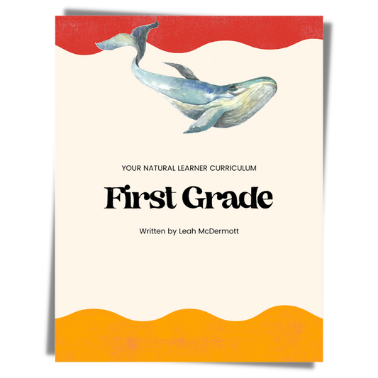 First Grade Curriculum