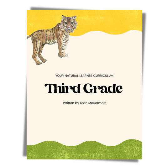 Third Grade Curriculum