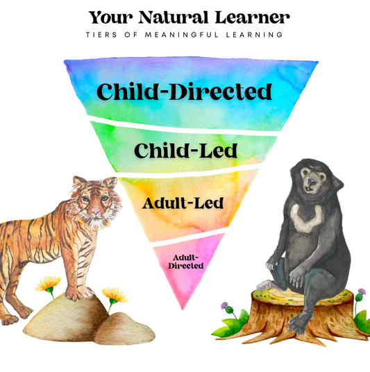 Tiers of Meaningful Learning