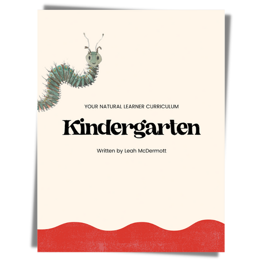 Pre-K/ Kindergarten Curriculum