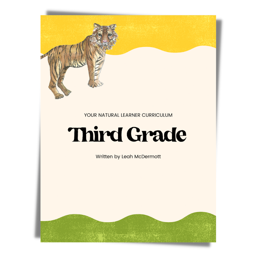 Third Grade Curriculum