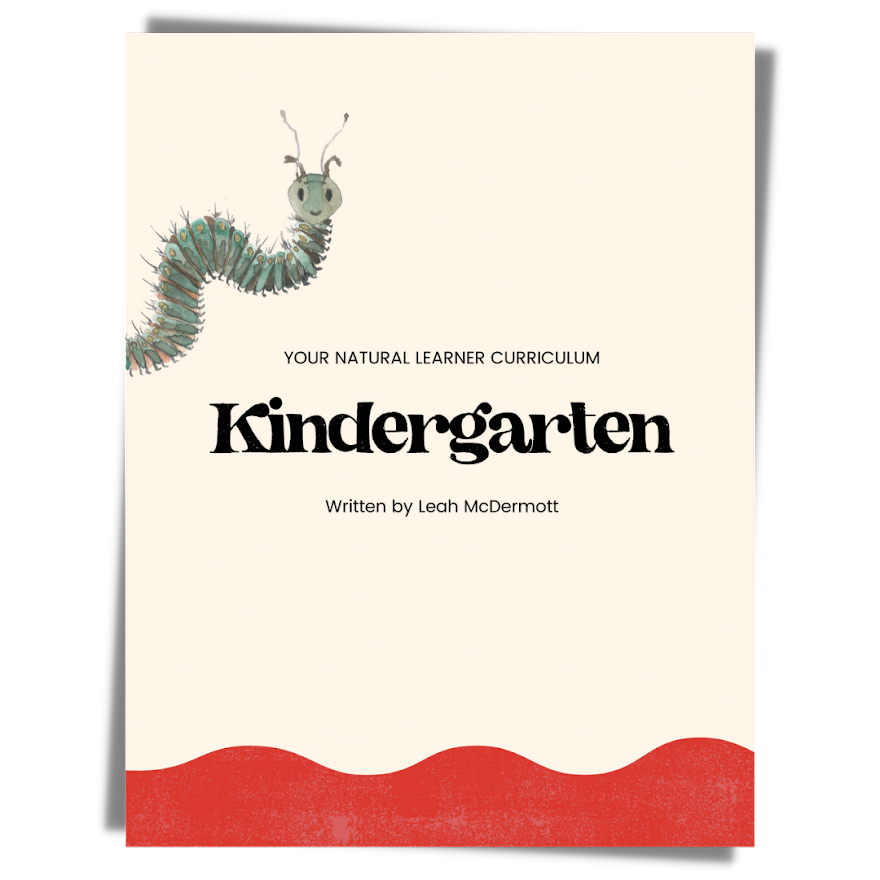 Pre-K/ Kindergarten Curriculum